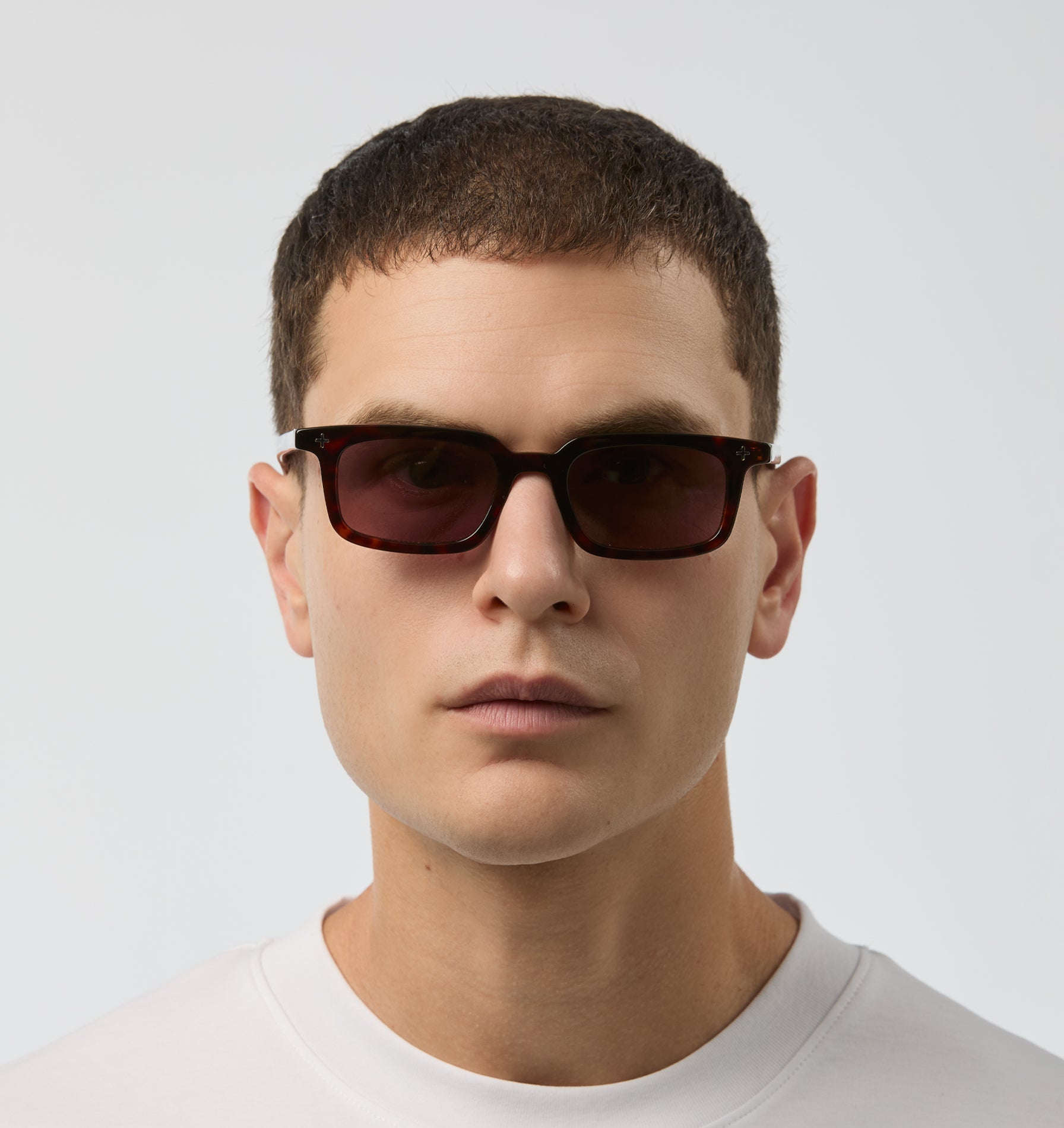 Kinsley Sunglasses - Tortoise