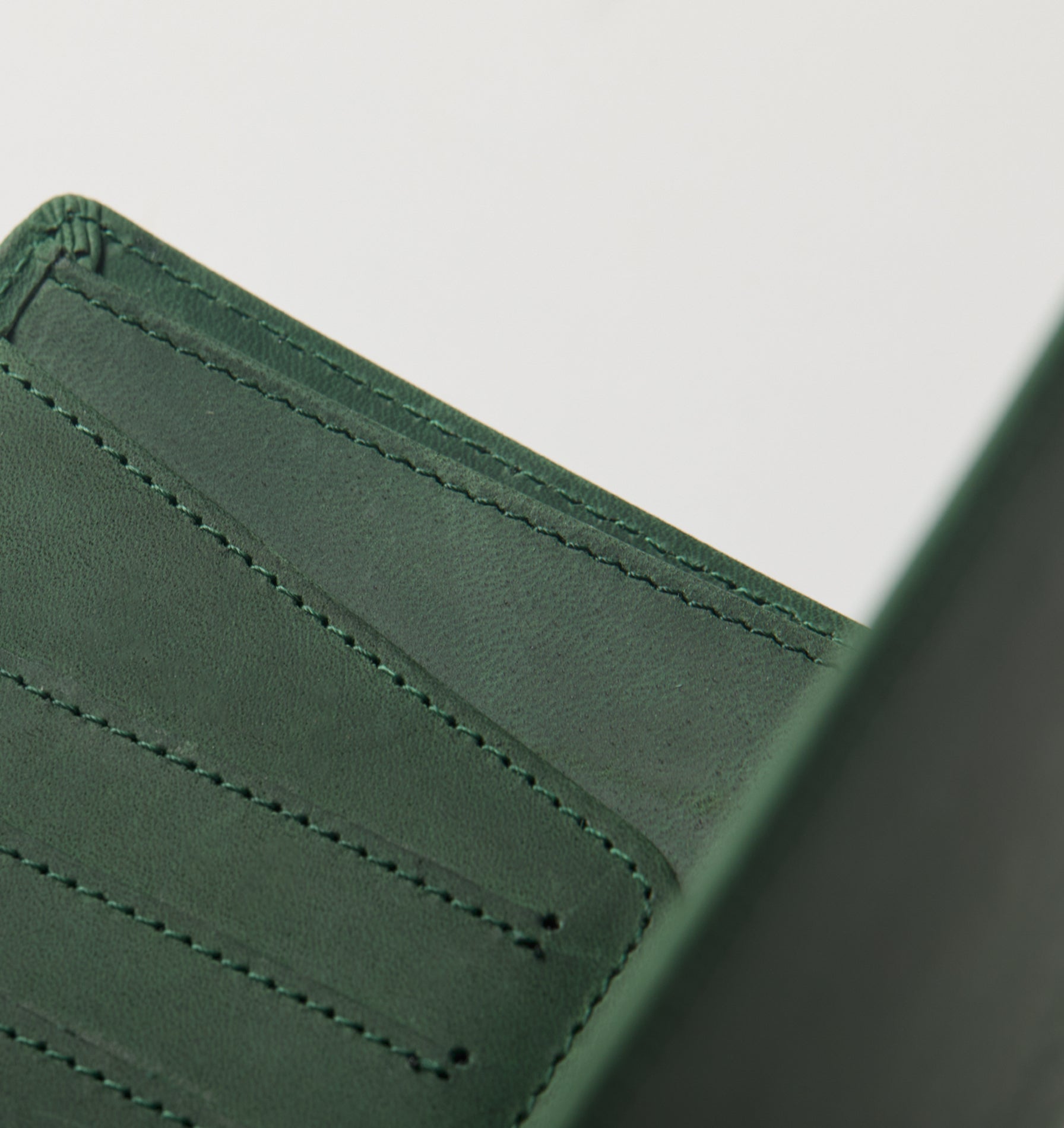 Leather Passport Holder/Luggage Tag - Green