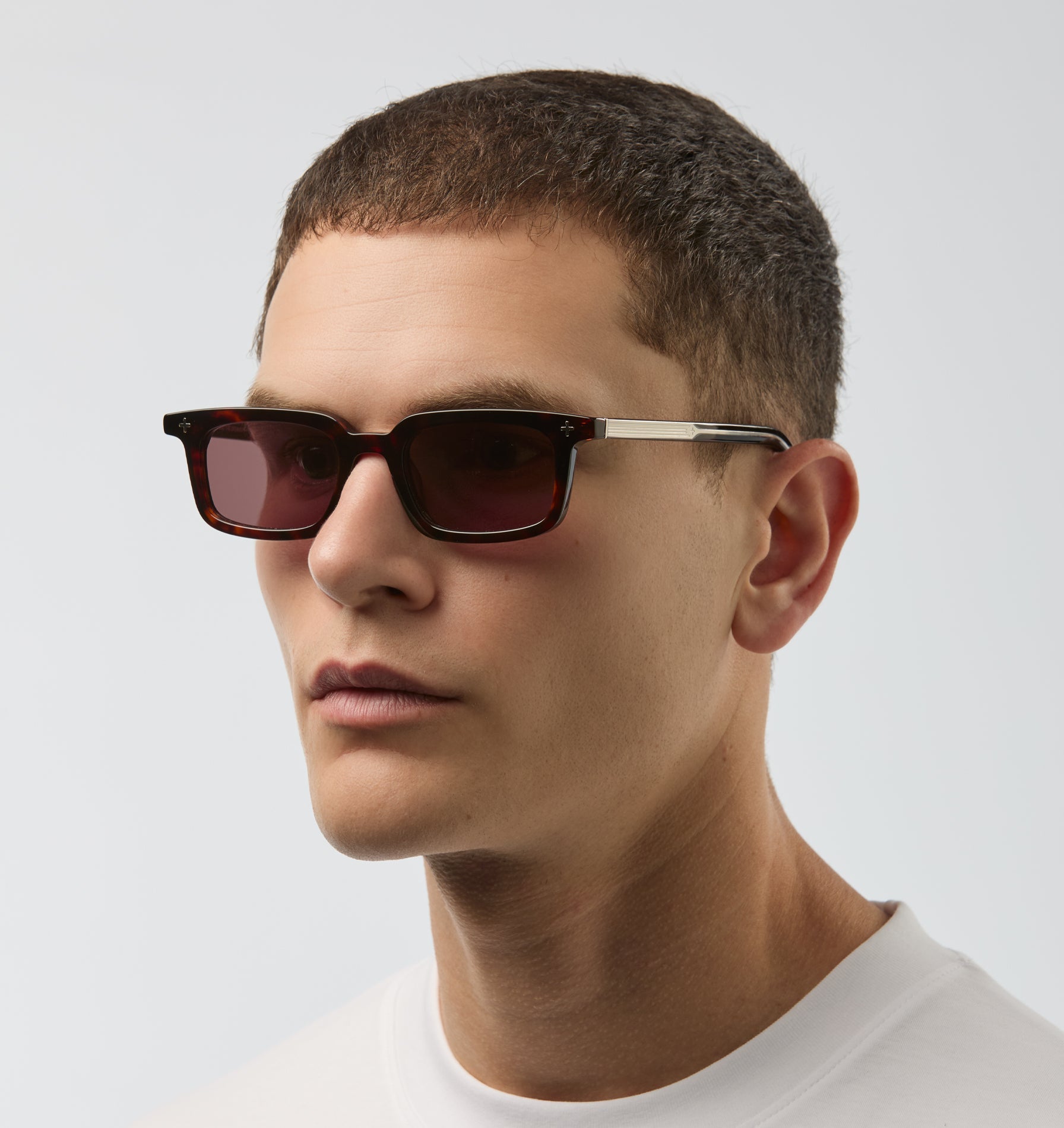 Kinsley Sunglasses - Tortoise
